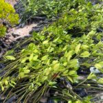 WhatsApp Image 2025-09-09 at 13.22.32